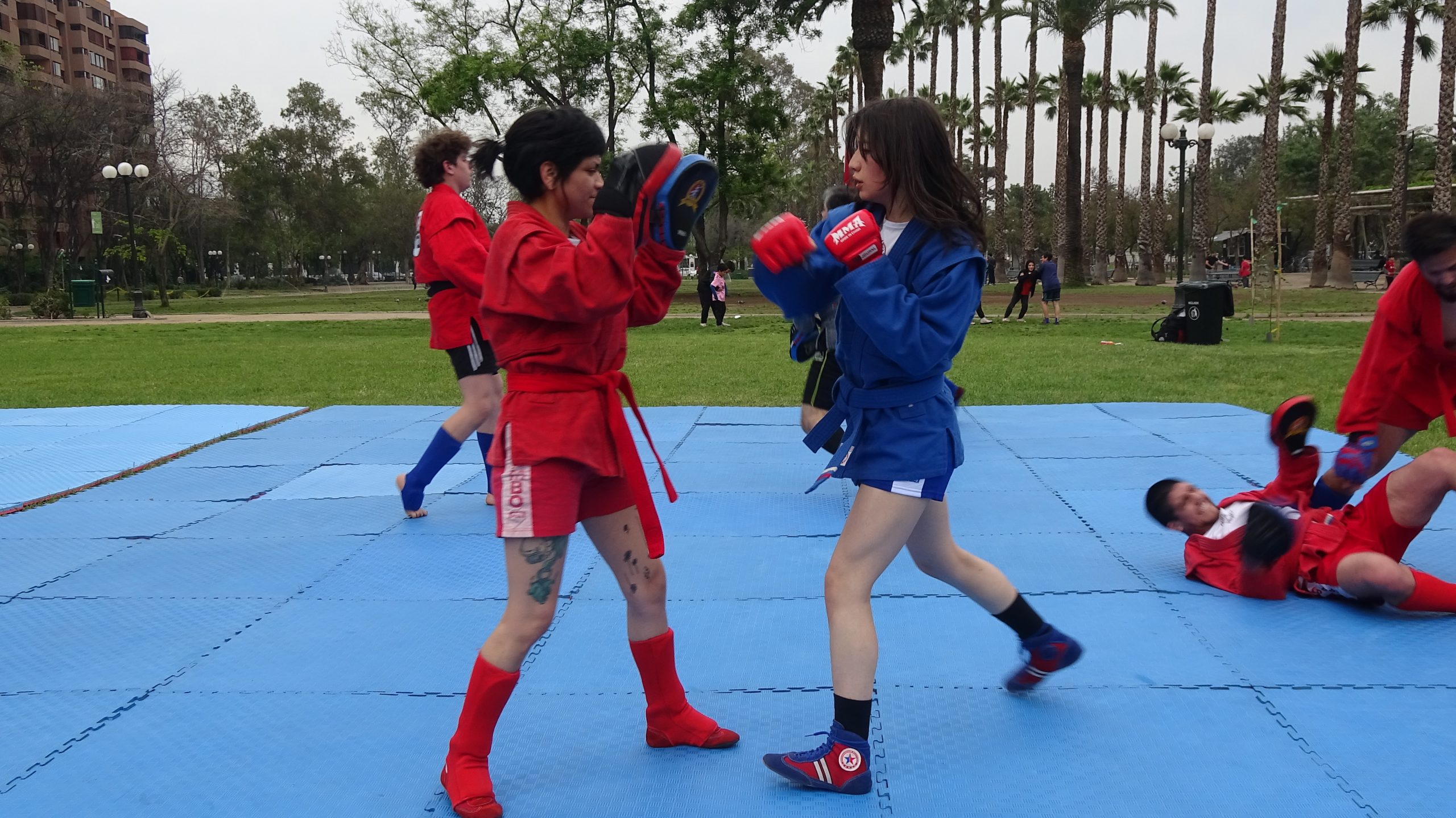 Festival de Artes Marciales Sambo